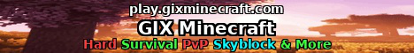 Server Banner