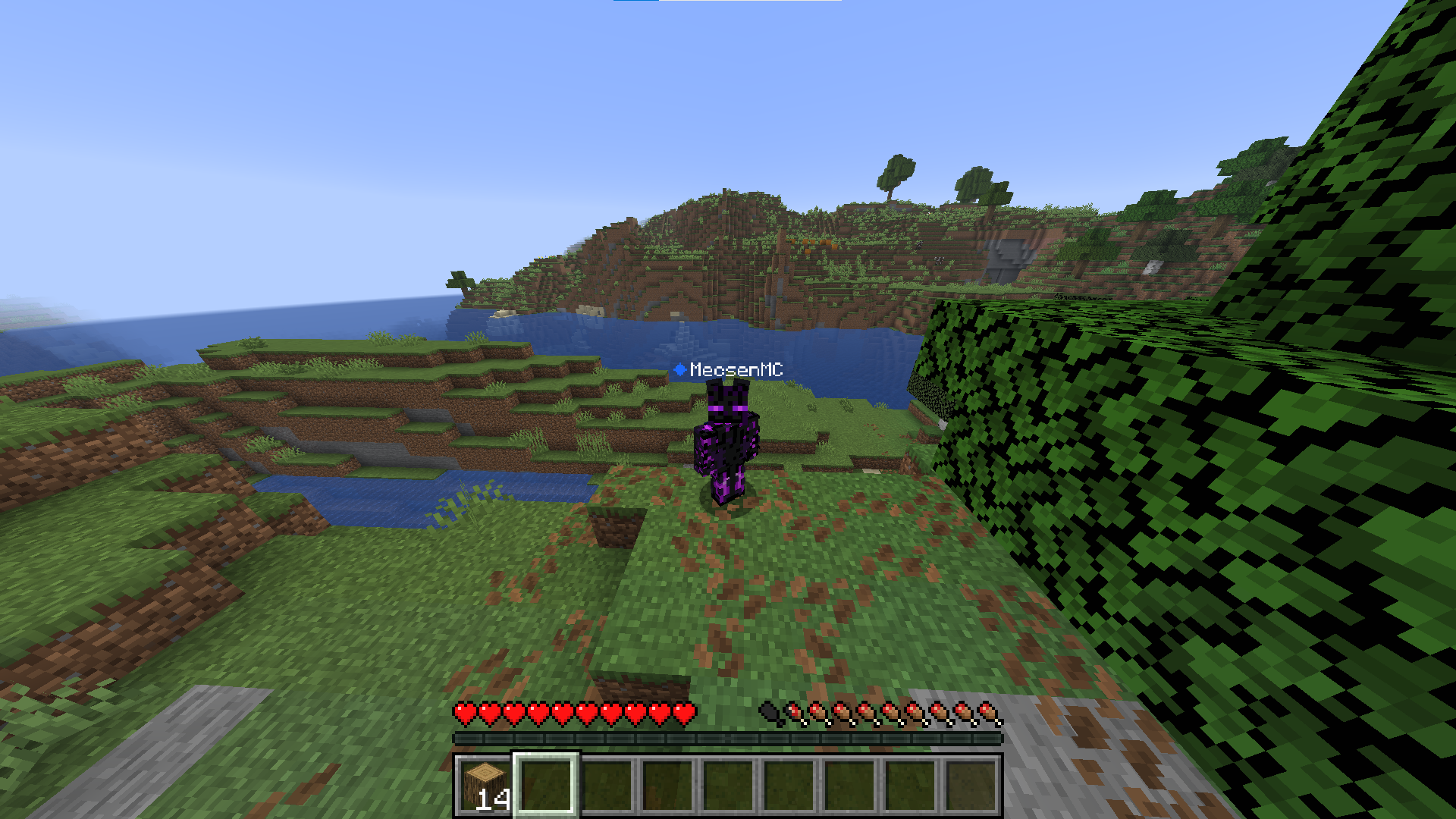 Server Banner