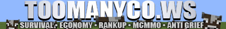 Server Banner