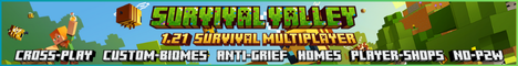 Server Banner