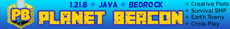 Server Banner