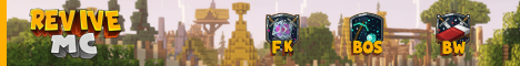Server Banner