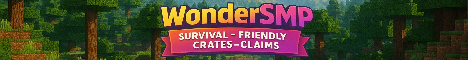 Server Banner