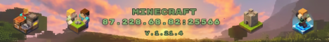 Server Banner