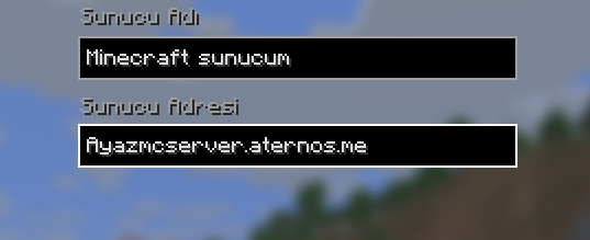 Server Banner