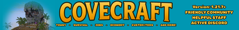 Server Banner